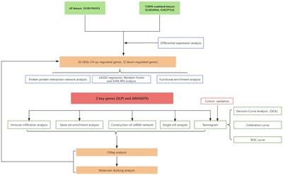 Exploring the pathogenesis, biomarkers, and potential drugs for type 2 diabetes mellitus and acute pancreatitis through a comprehensive bioinformatic analysis